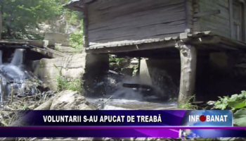 Voluntarii s-au apucat de treabă