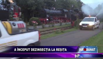 A început dezinsecția la Reșița