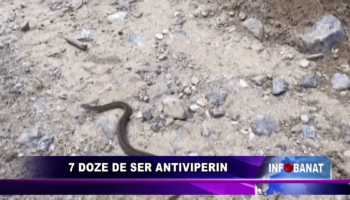 7 doze de ser antiviperin