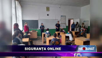 Siguranța online