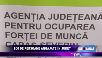 800 de persoane angajate în județ