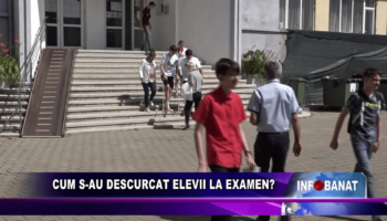 Cum s-au descurcat elevii la examen?