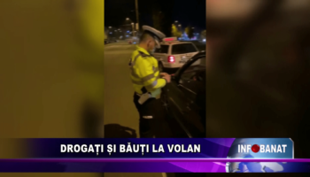 Drogati si bauti la volan