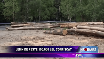 Lemn de peste 100 000 lei, confiscat