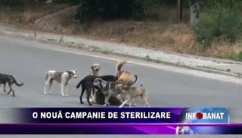 O nouă campanie de sterilizare