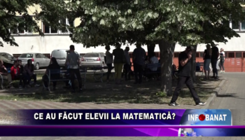 Ce au făcut elevii la matematică?