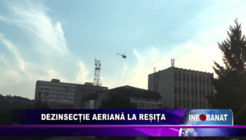 Dezinsecție aeriană la Reșița