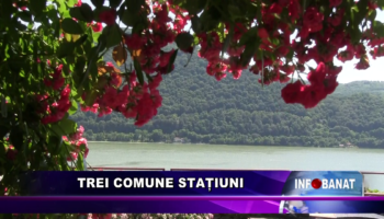 Trei comune stațiuni