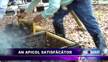 An apicol satisfăcător