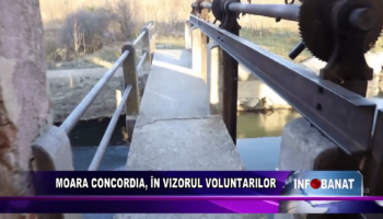 Moara Concordia, în vizorul voluntarilor