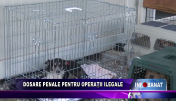 Dosare penale pentru operații ilegale