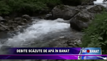 Debite scăzute în Banat