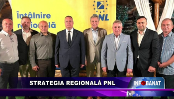 Strategia regională PNL