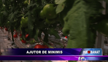 Ajutor de minimis