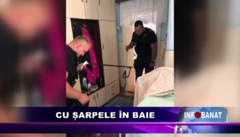 Cu șarpele în baie