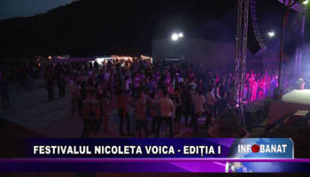 Festivalul Nicoleta Voica – ediția I