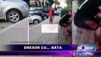 Dresor cu… bâta