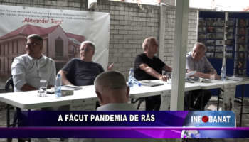 A făcut pandemia de râs