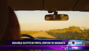 GRAVIDELE SCUTITE DE PORTUL CENTURII DE SIGURANȚĂ