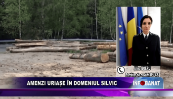 AMENZI URIAȘE ÎN DOMENIUL SILVIC