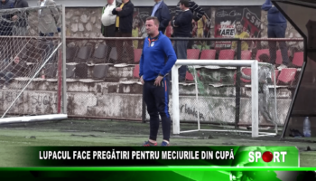 LUPACUL FACE PREGĂTIRI PENTRU MECIURILE DIN CUPĂ