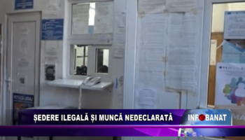 Ședere ilegală și muncă nedeclarată