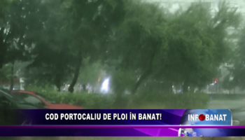 Cod portocaliu de ploi în Banat!