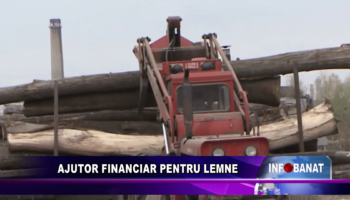 Ajutor financiar pentru lemne