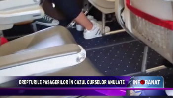 Drepturile pasagerilor în cazul curselor anulate