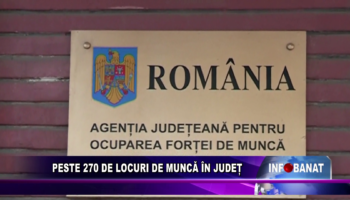 Peste 270 de locuri de muncă în județ