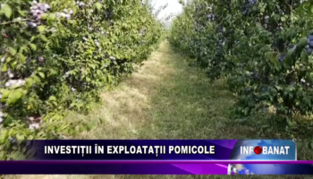 Investiții în exploatații pomicole