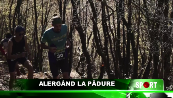 ALERGÂND LA PĂDURE