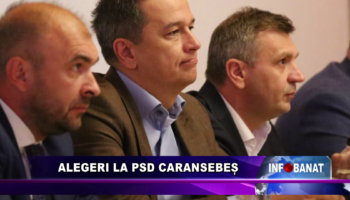 Alegeri la PSD Caransebeș