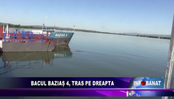 Bacul Baziaș 4, tras pe dreapta