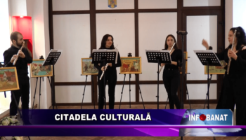 Citadela culturală