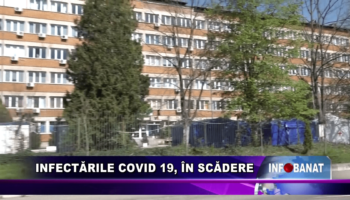 Infectările Covid 19, în scădere