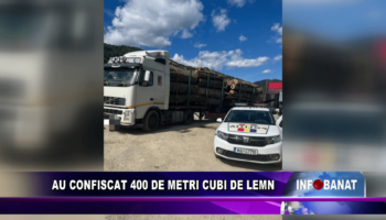 Au confiscat 400 de metri cubi de lemn