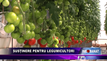 Susținere pentru legumicultori