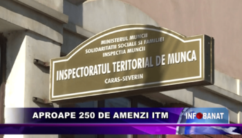 Aproape 250 de amenzi ITM