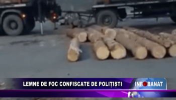 Lemne de foc confiscate de polițiști