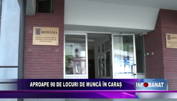 Aproape 90 de locuri de muncă în Caraș