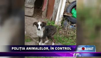 Poliția animalelor, în control