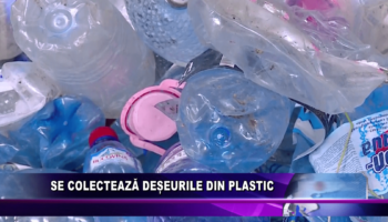 Se colectează deșeurile din plastic