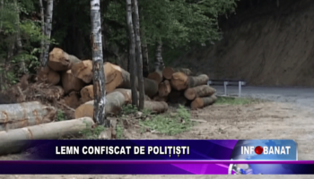 Lemn confiscat de polițiști