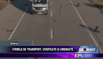 Firmele de transport, verificate și amendate