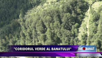 “Coridorul verde al Banatului”