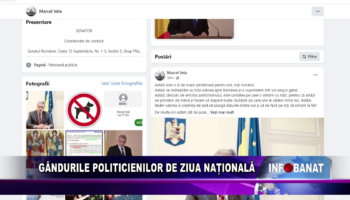 Gândurile politicienilor de Ziua Națională