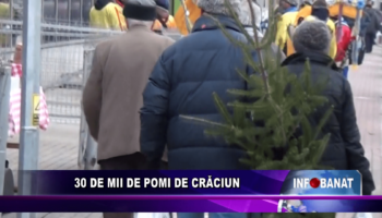 30 de mii de pomi de crăciun