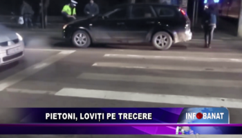 Pietoni, loviți pe trecere