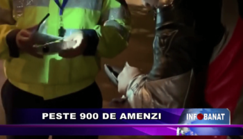 Peste 900 de amenzi